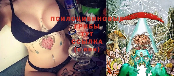 твердый Аркадак