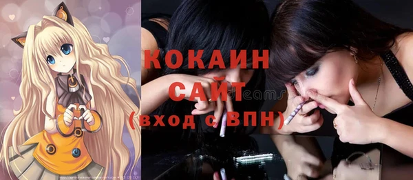 твердый Аркадак