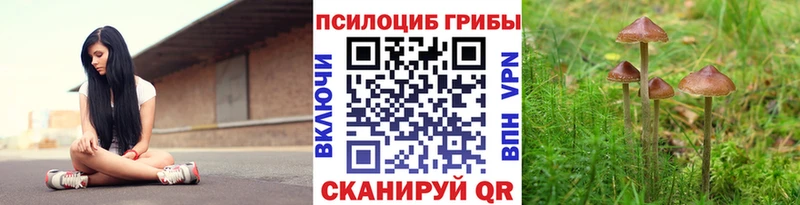 Псилоцибиновые грибы GOLDEN TEACHER Сергач